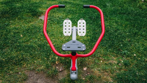 The Revival of Urban Green Fitness: Exploring the Power of City Parks in 2026