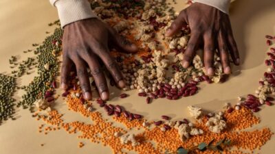 10 Plant-Based Proteins to Boost Your Diet in 2026