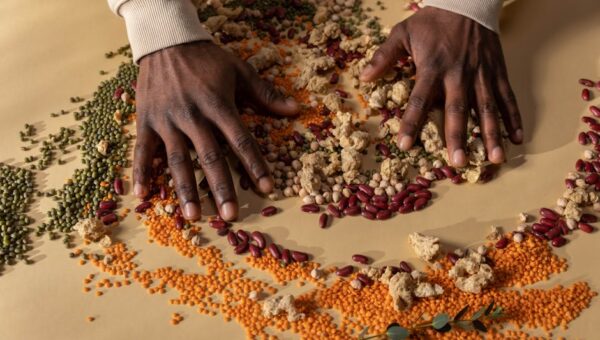 10 Plant-Based Proteins to Boost Your Diet in 2026